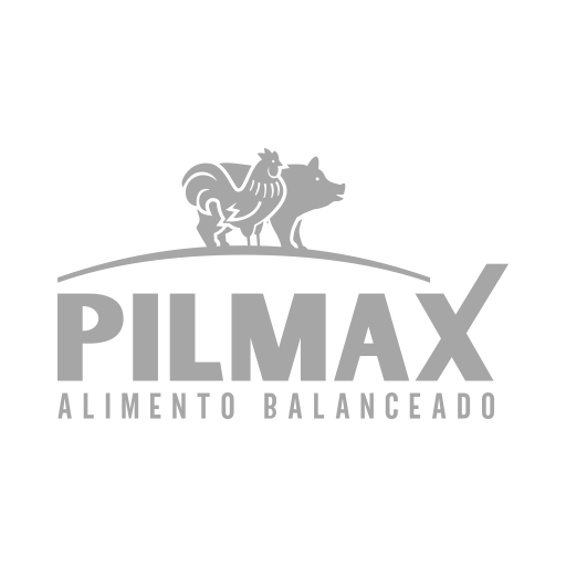 Pilmax